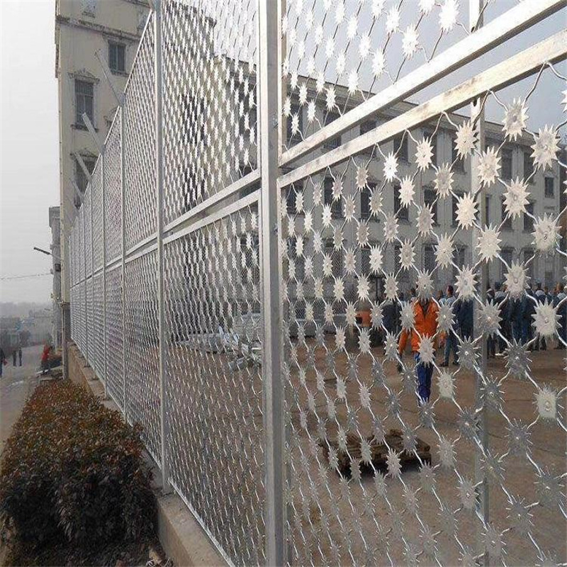 防攀爬梅花刺隔離網圖片1 防攀爬梅花刺隔離網圖片1